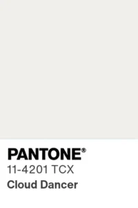 Pantone color chip 2026